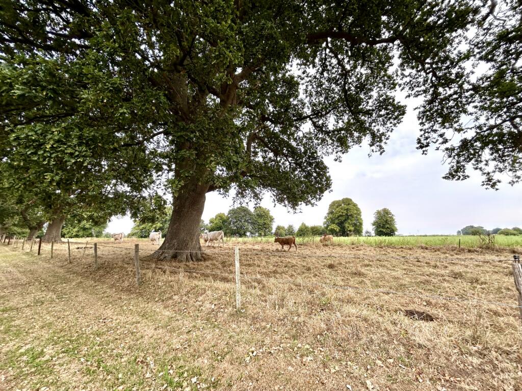 Additional image 22 of Lake Mews, Barwick, BA22