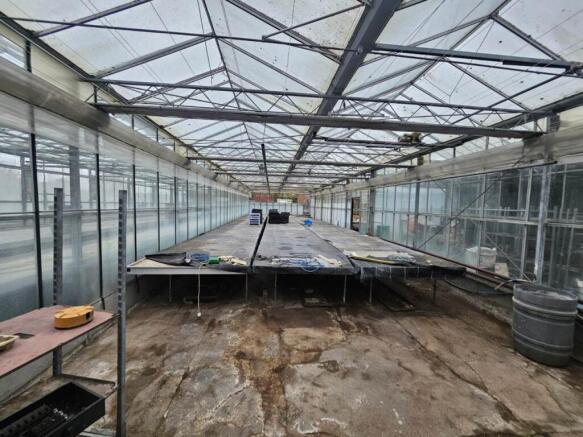 Marden Nurseries (10
