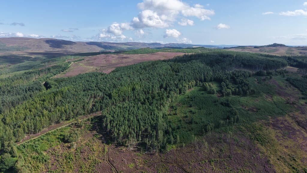 Main image of property: Erchless Forest East, Near Beauly, Inverness-shire