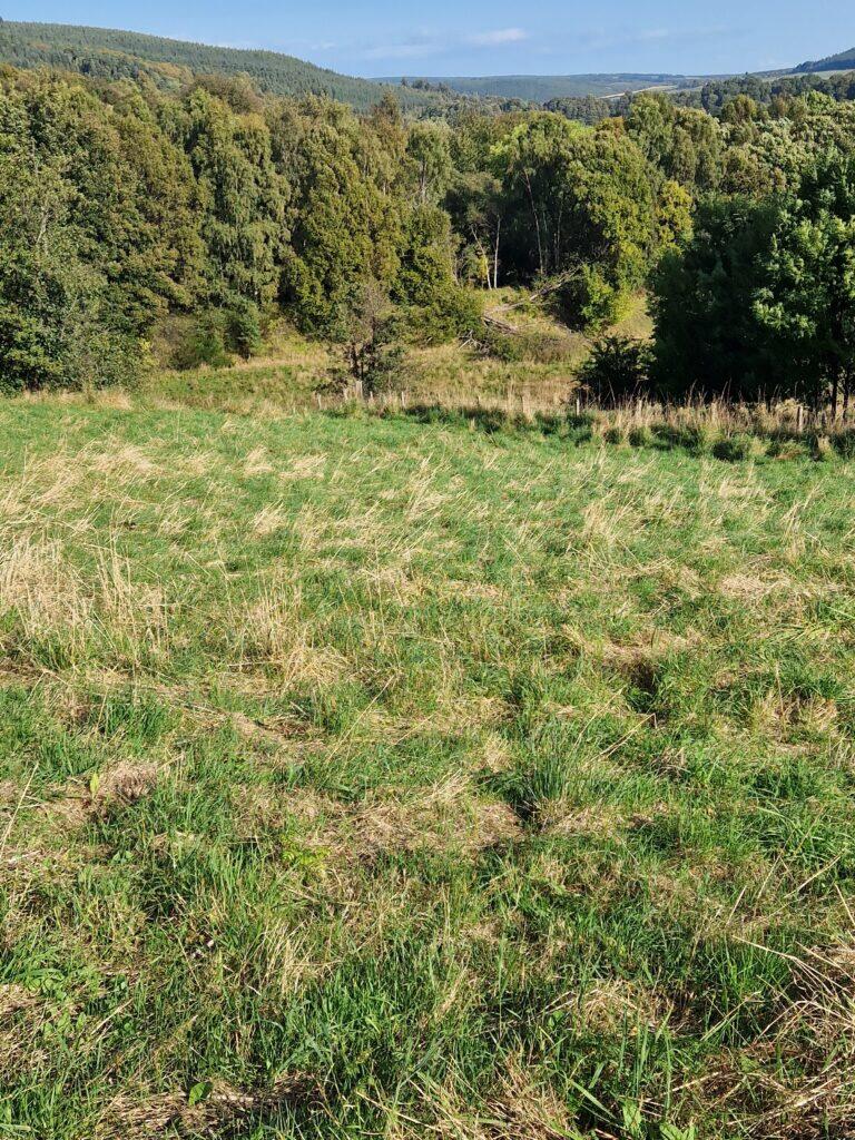 Building Plot At Hillside House, Rothes, Aberlour, Moray, AB38 7AQ photo 5