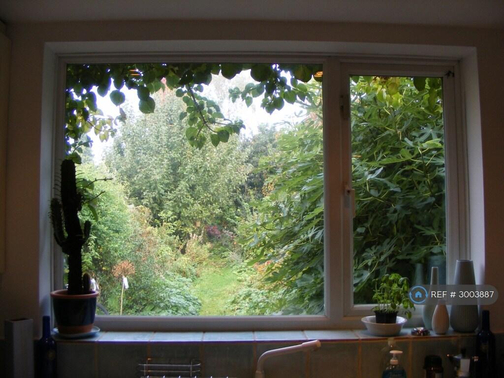 House in Cambridge - View 3