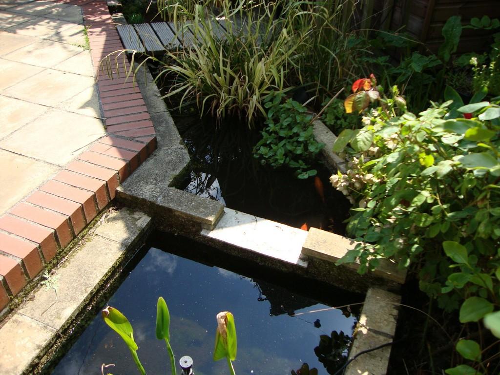 Photo of the property
