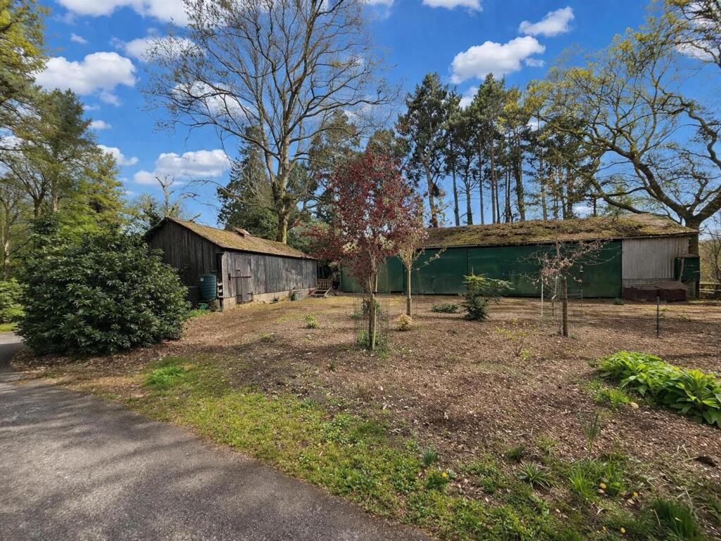 Highwood, Ringwood photo 5