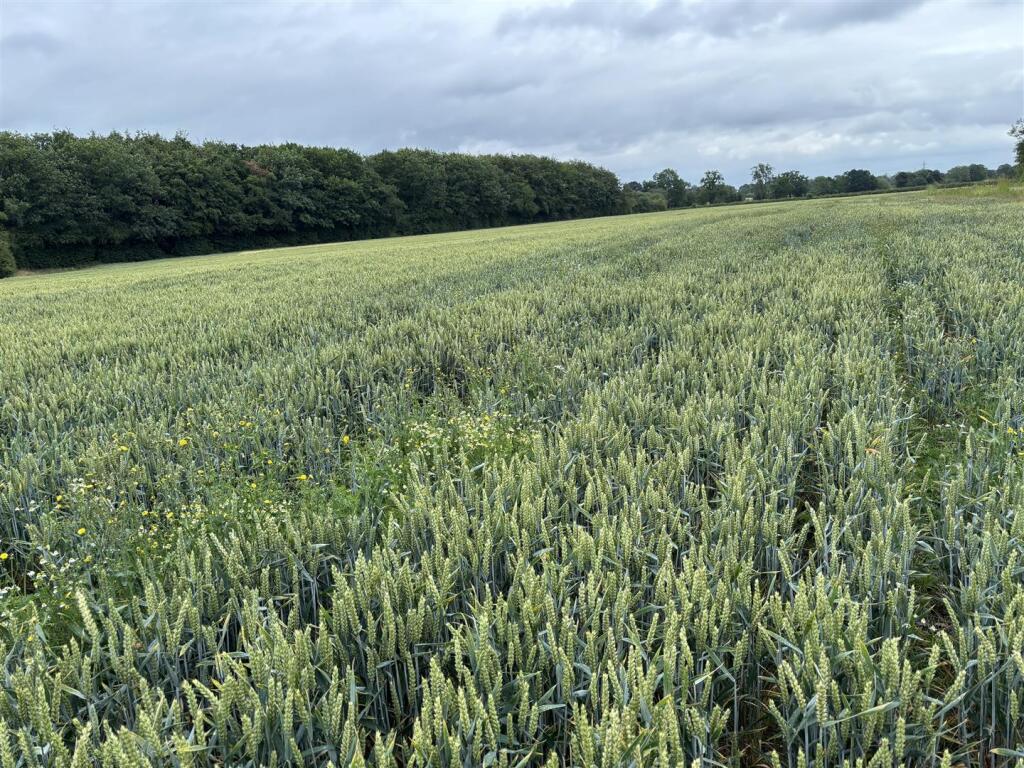 Main image of property: Land at Rowley Bank Lane, High Legh, Knutsford