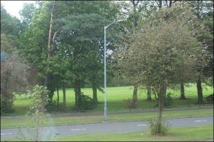 Photo of the property