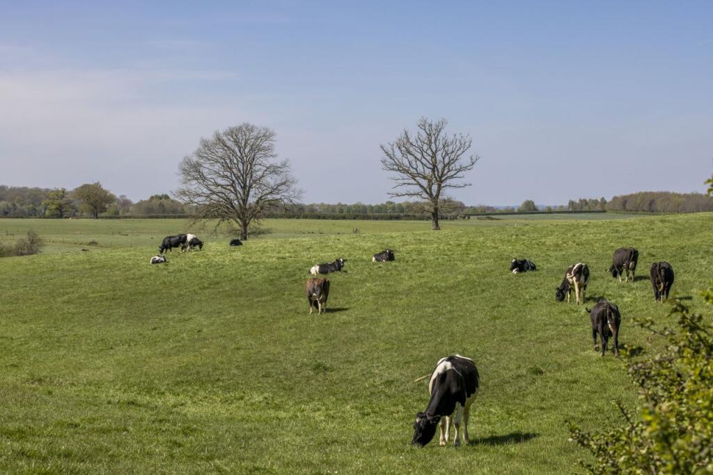 Land Opposite Barrs Farm