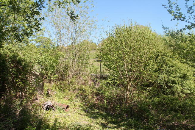 Back Acre