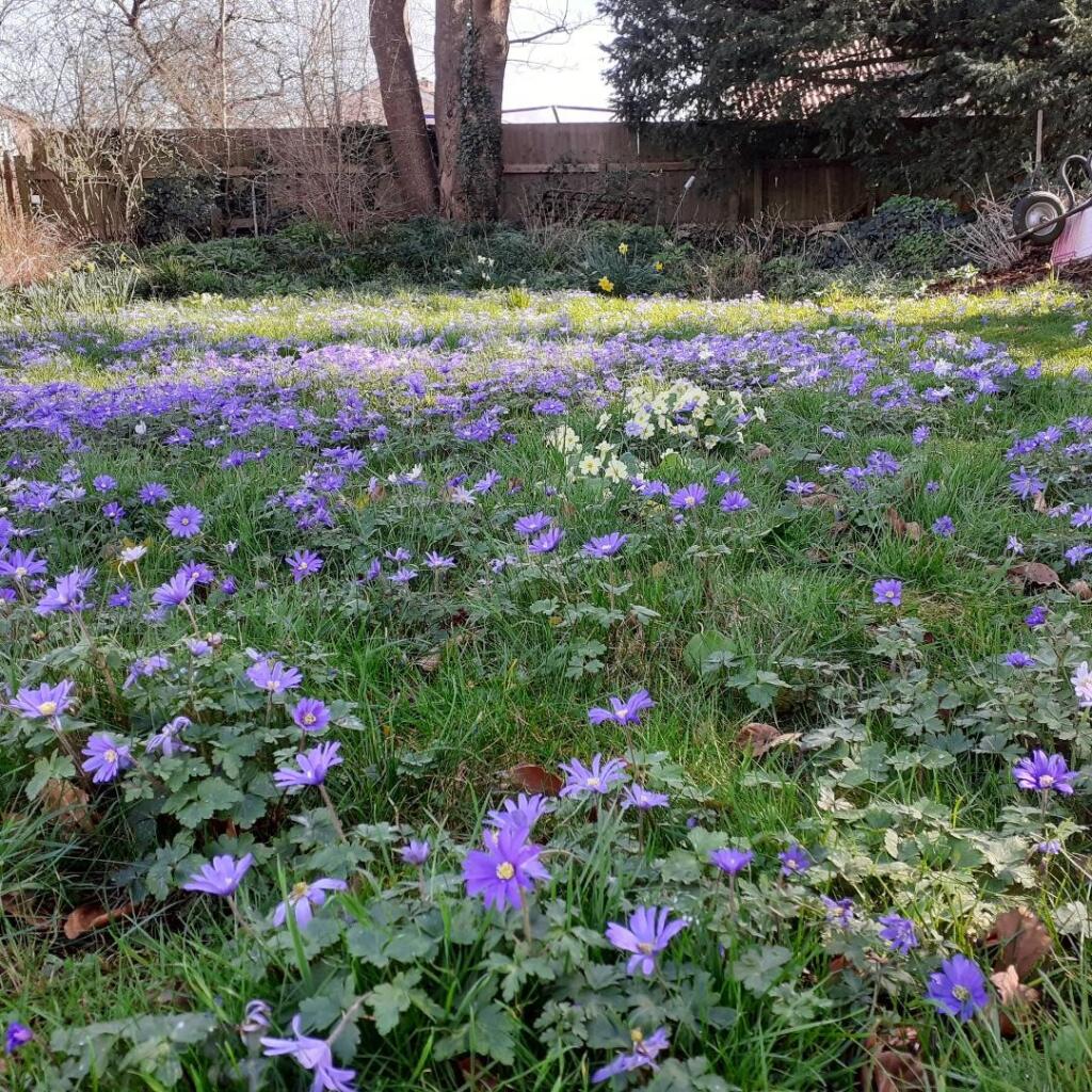 Additional image 19 of Church View, Evercreech, BA4