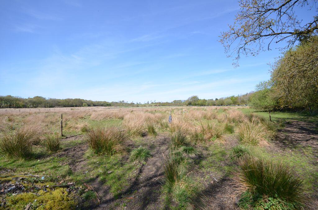 Hollydown, Venton, Drewsteignton photo 3