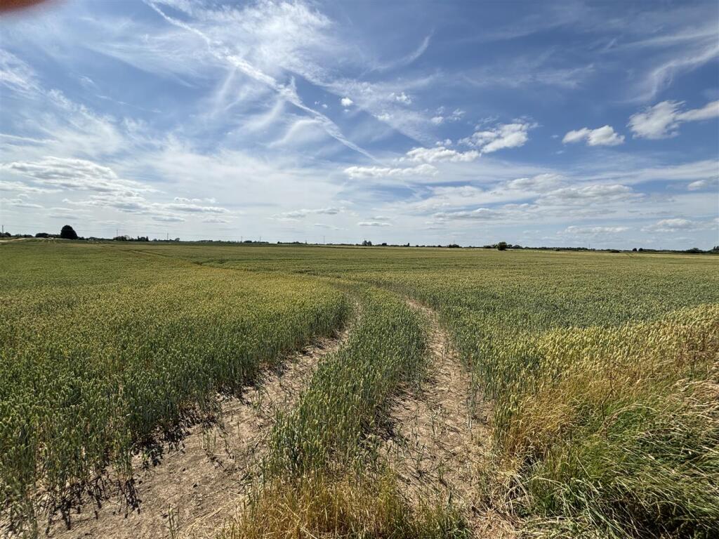 Main image of property: Edge Bank, Emneth