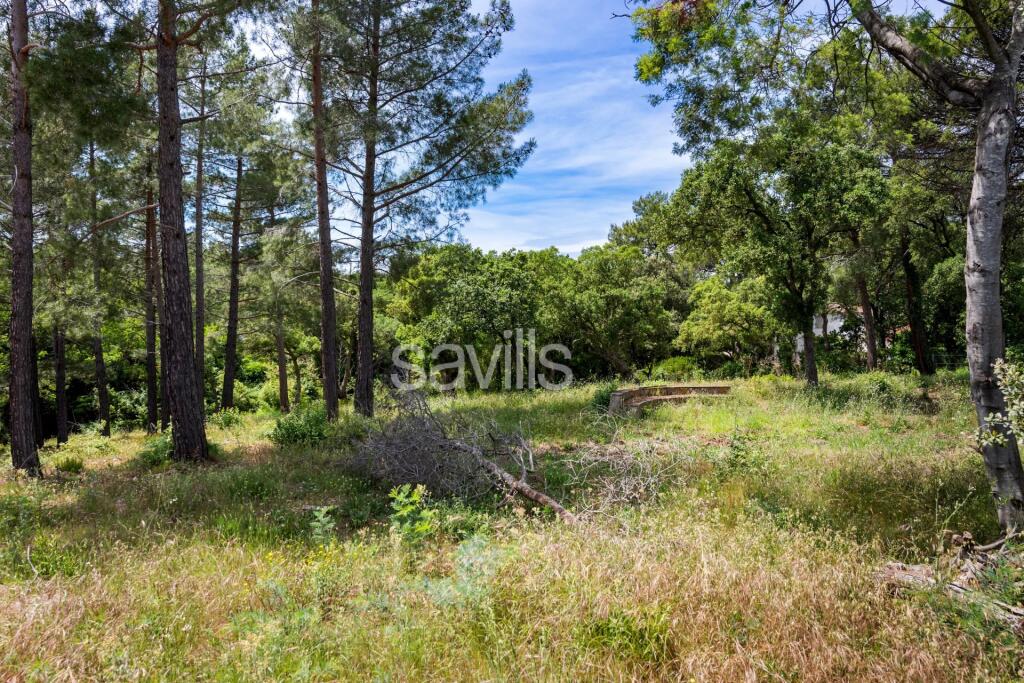 Main image of property: Provence-Alps-Cote d`Azur, Var, Grimaud