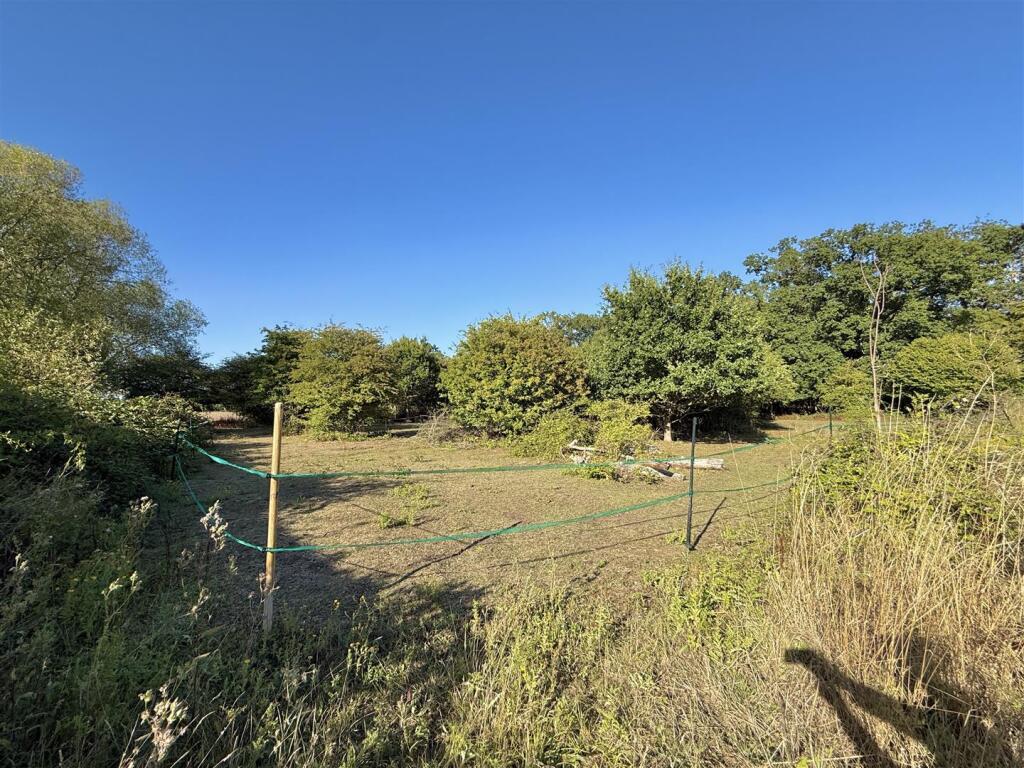 The Street, Thorpe Abbotts - View 4