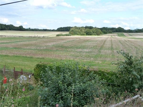 Photo of the property