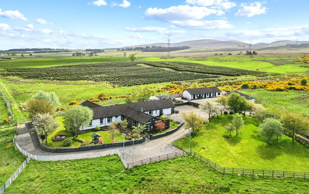 House in Falkirk
