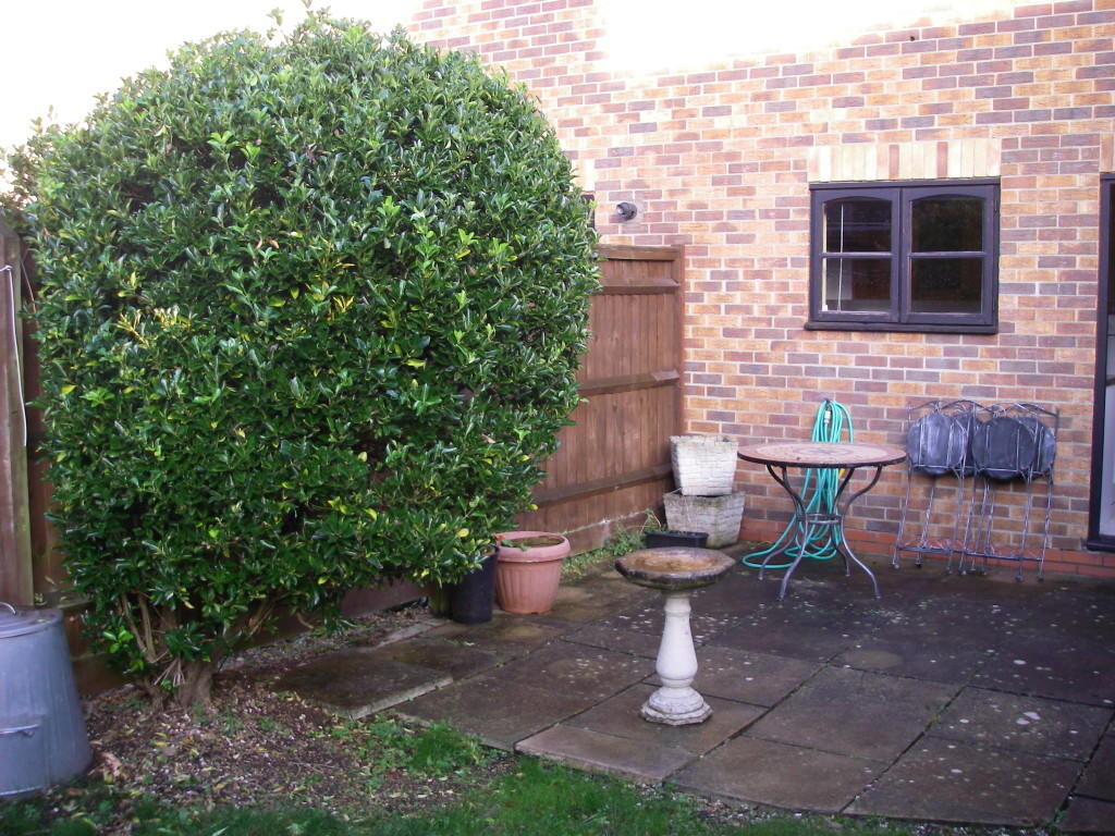 Photo of the property