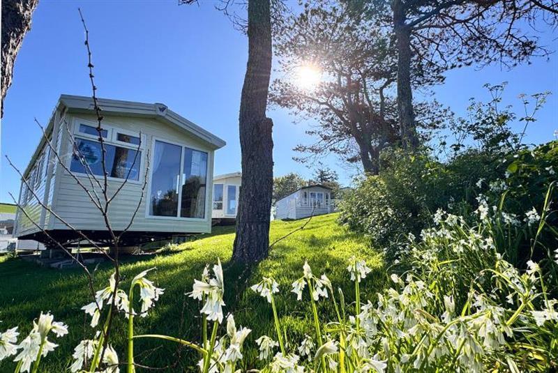 Main image of property: Willerby Rio   2025, Newquay Bay Resort, Porth, Newquay, Cornwall, TR8 4AS