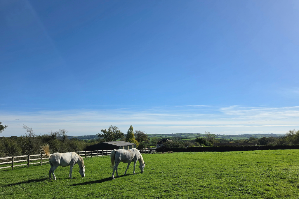 Meidrim, Carmarthen, SA33 5NX - View 3