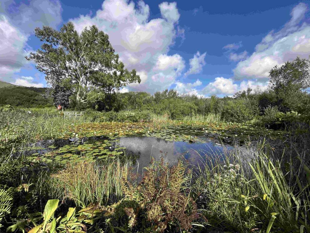 Main image of property: Lanjeth Nursery & Water Gardens, Coombe Road, Lanjeth, St Austell