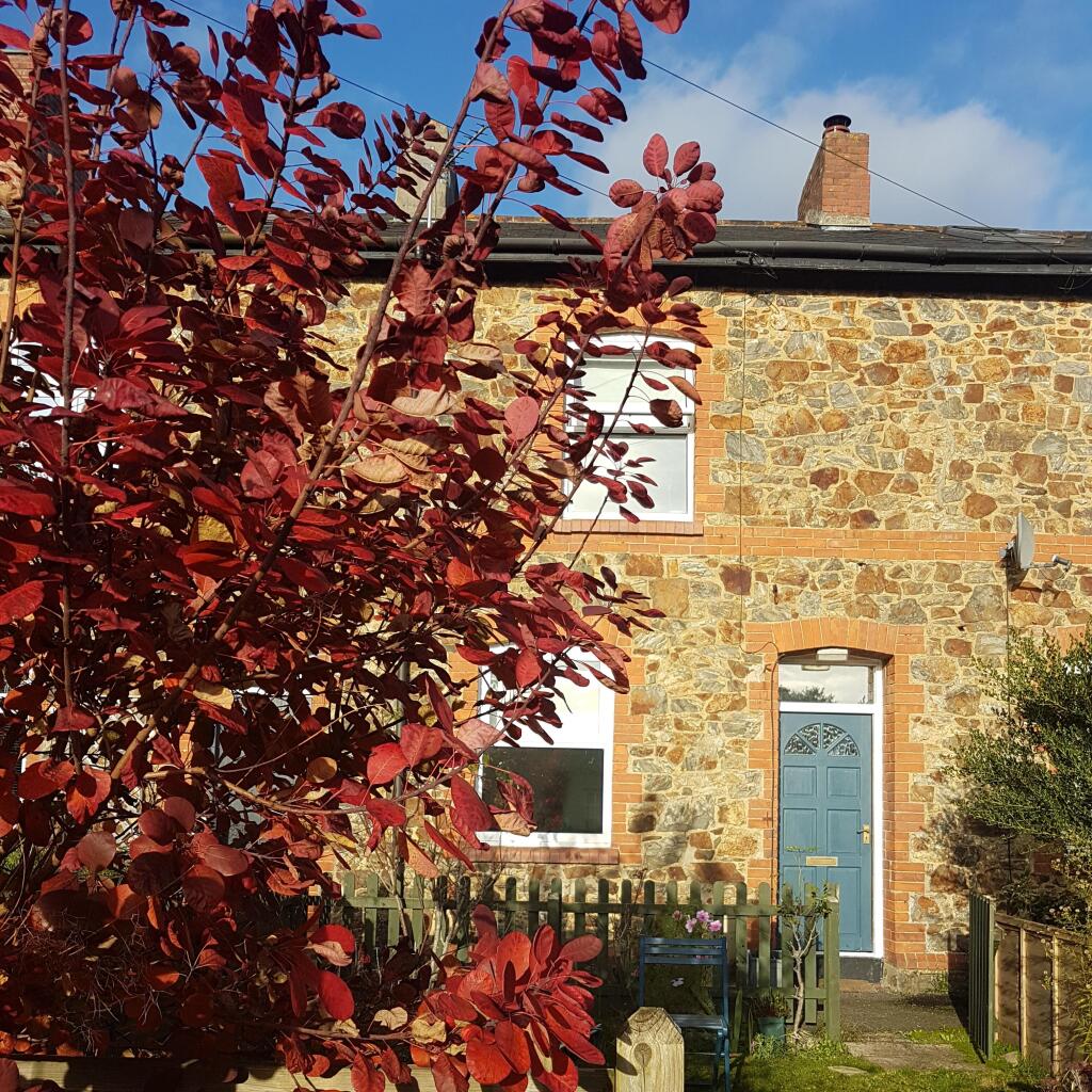 Main image of property: South View, Bovey Tracey, Newton Abbot