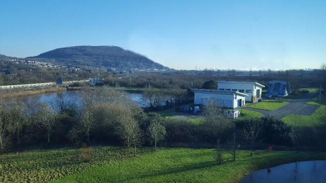 View from Office