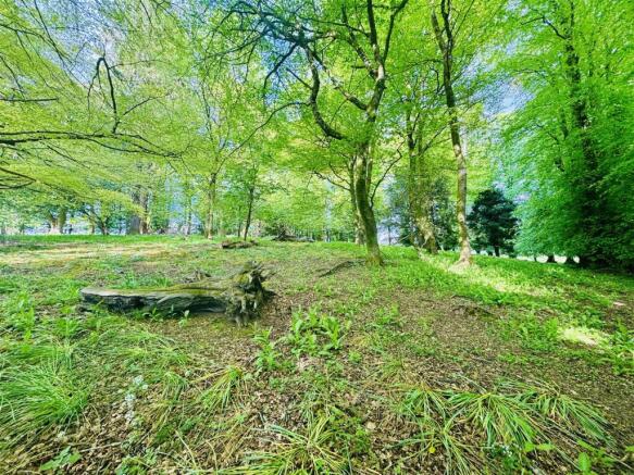 GROUNDS