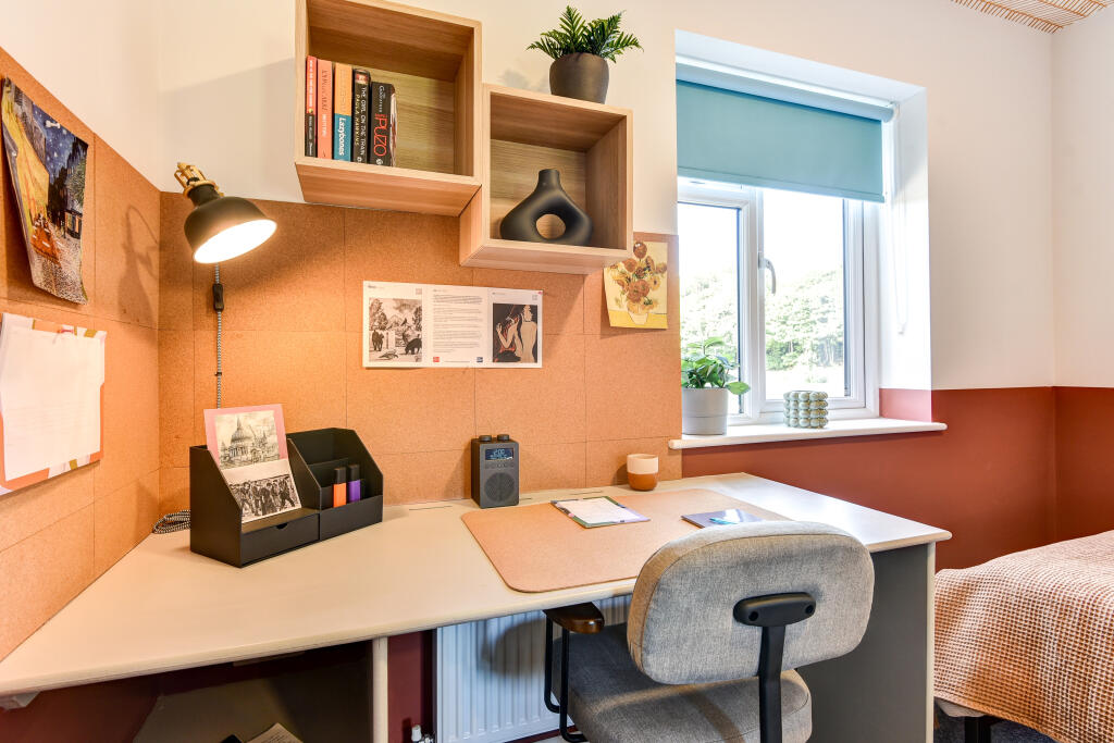 1 bedroom house share for rent