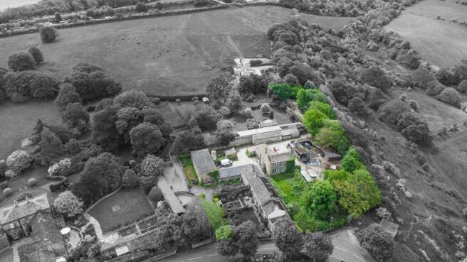 DJI_0501 copy 2.jpg