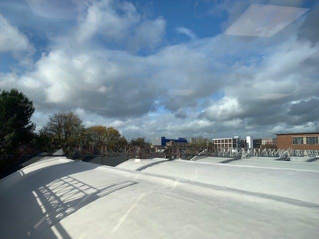 Pic 5.jpg