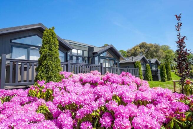 Boutique Manor House and Lodge Park For Sale - Colliers