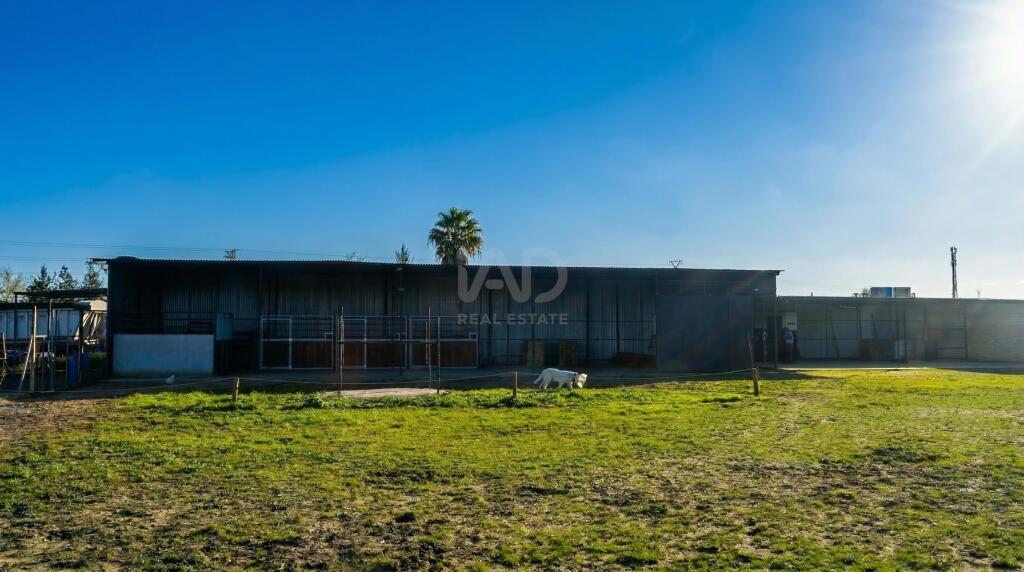 Main image of property: Andalucia, Huelva, Almonte