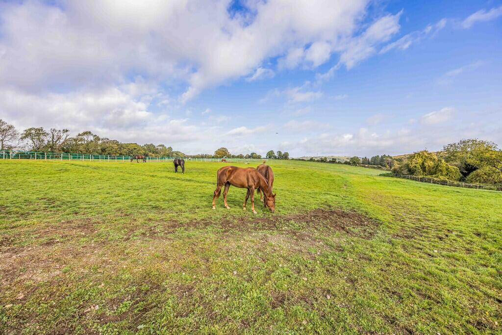 Clanfield, Hampshire - View 5