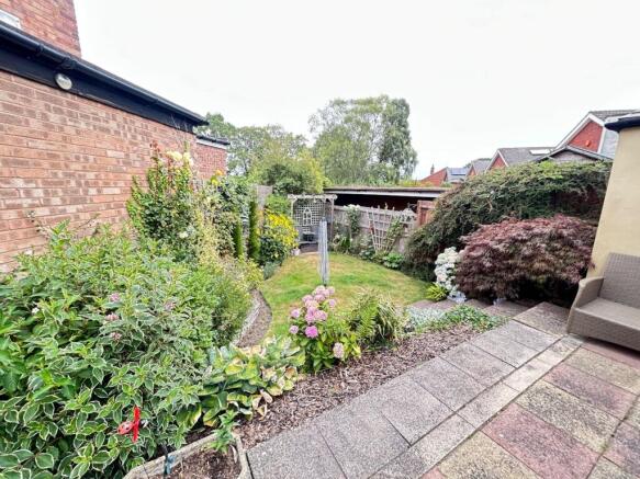IMG_4371.JPG