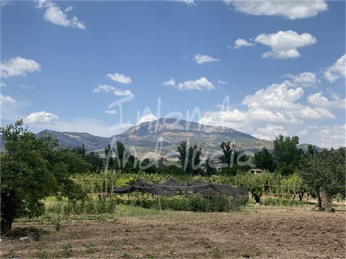 Main image of property: Andalucia, Jaén, Alcaudete