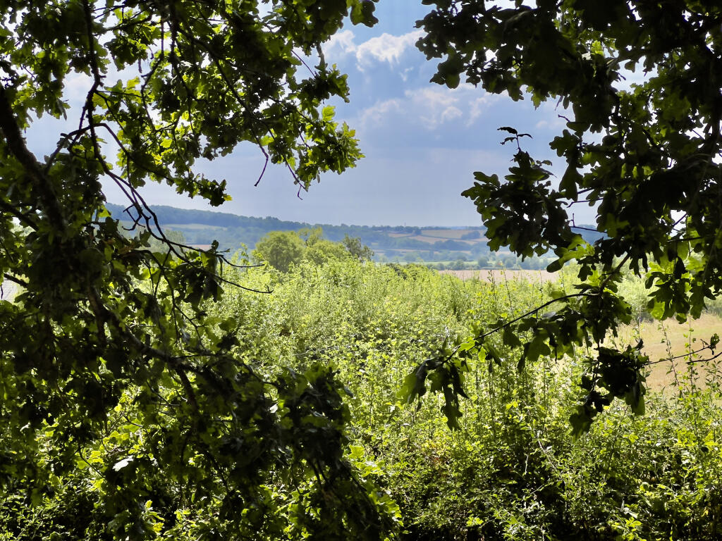 House in Taunton, Triscombe - View 4