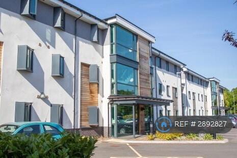 1 bedroom flat share for rent
