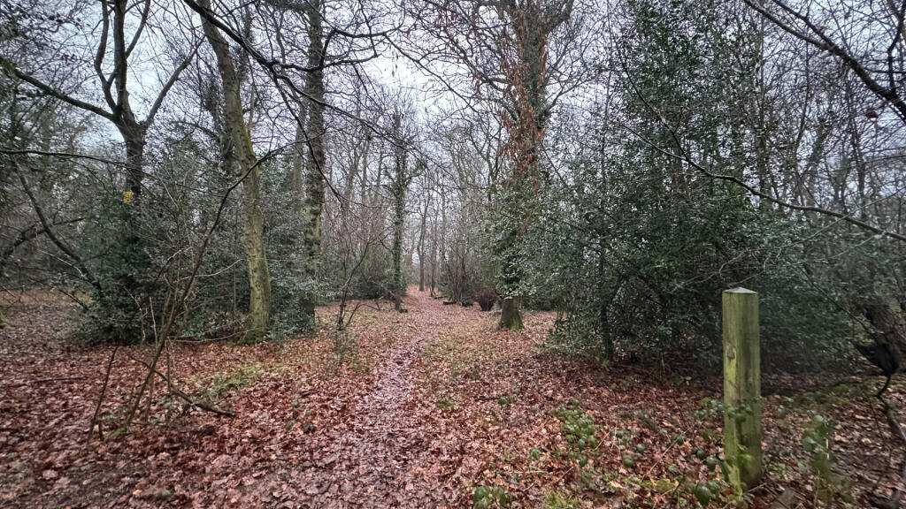 Woodland for sale in Flaunden.