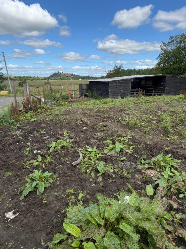 Main image of property: Land To The East Of 19 Shottsburn Road, Kirk Of Shotts, ML7 4NT