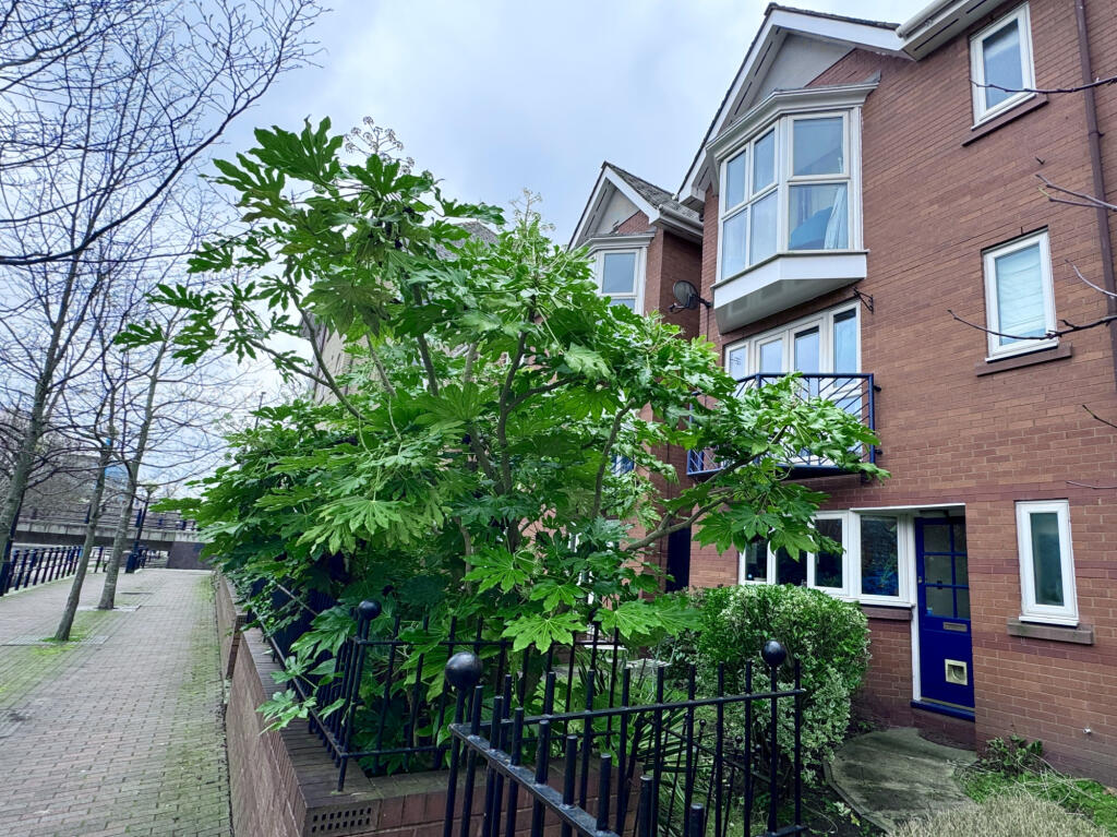 Main image of property: Salford, Salford Quays, Greater Manchester, M50