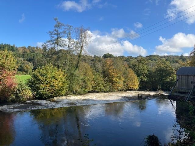 Main image of property: Fishing on the Exe
