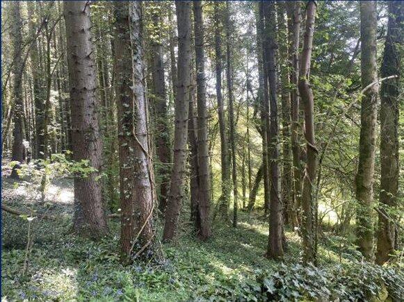 Main image of property: Itton, Chepstow, Monmouthshire, NP16