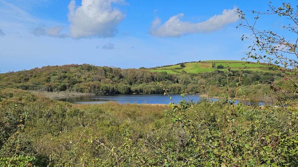 Carpalla, Foxhole, St. Austell, PL26 7TY photo 2