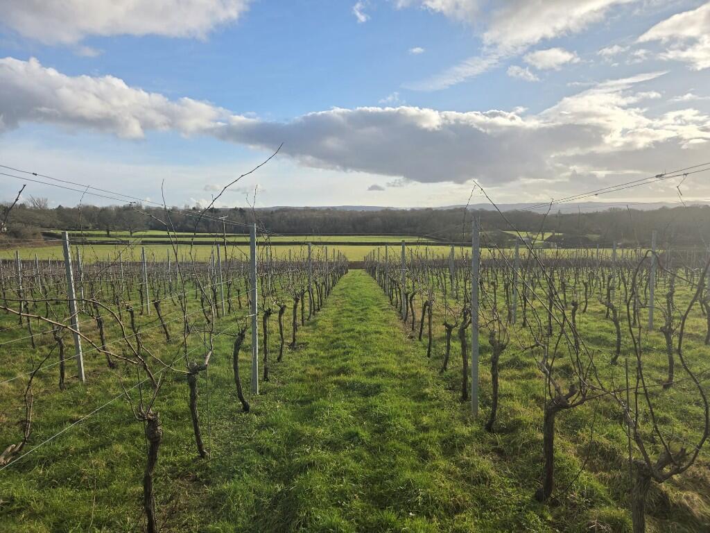 Main image of property: Deaks Lane, RH17