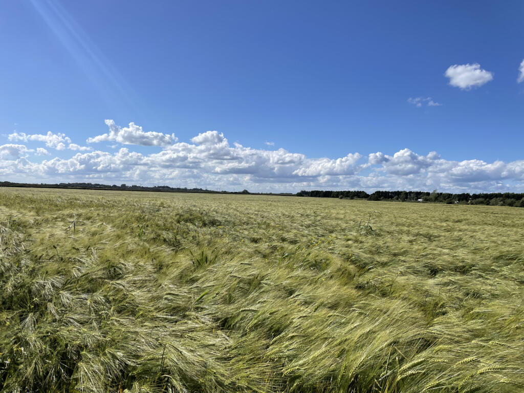 East Newton, Near Aldbrough - View 5