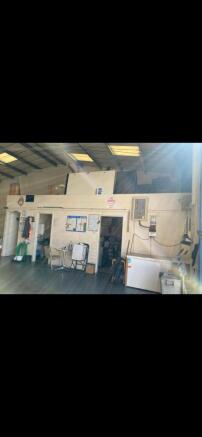 IMG_7391.jpeg