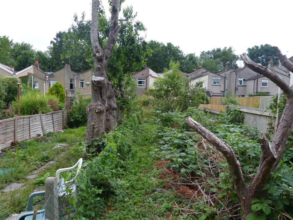 Photo of the property