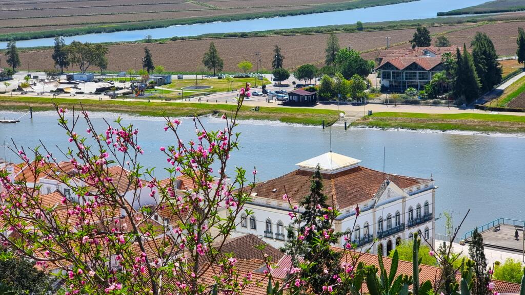 Main image of property: Setúbal, Comporta