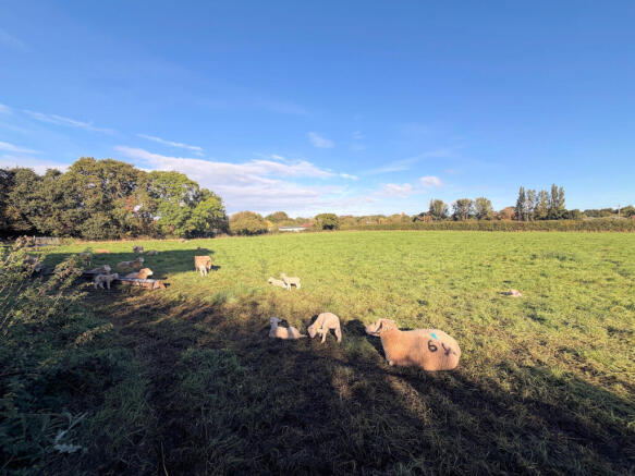 View over part of field