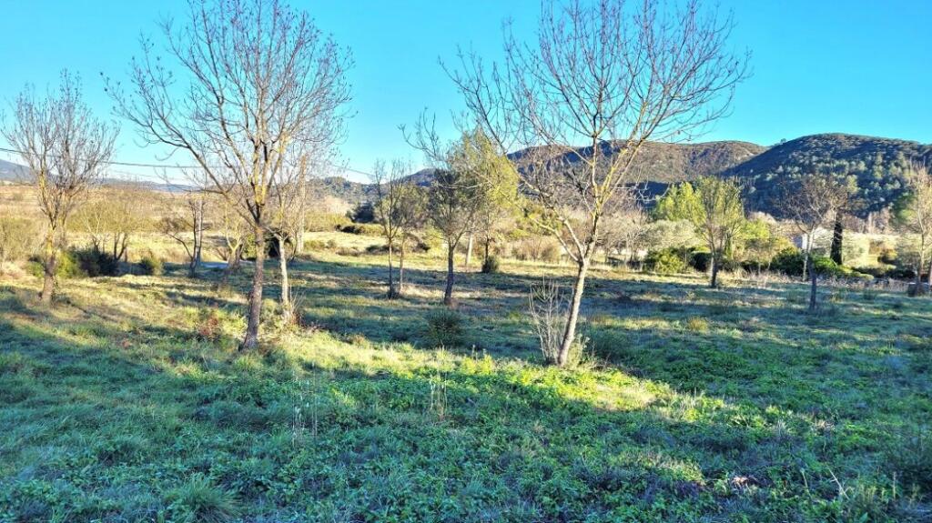 Main image of property: Languedoc-Roussillon, Hérault, St-Chinian