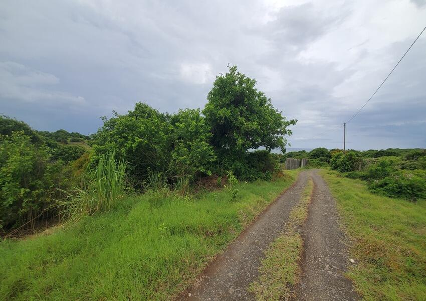 Main image of property: Micoud