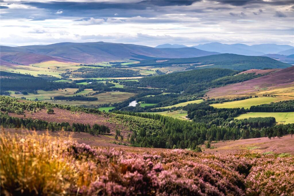 Main image of property: Tulchan Estate, Grantown-on-Spey, Moray, PH26